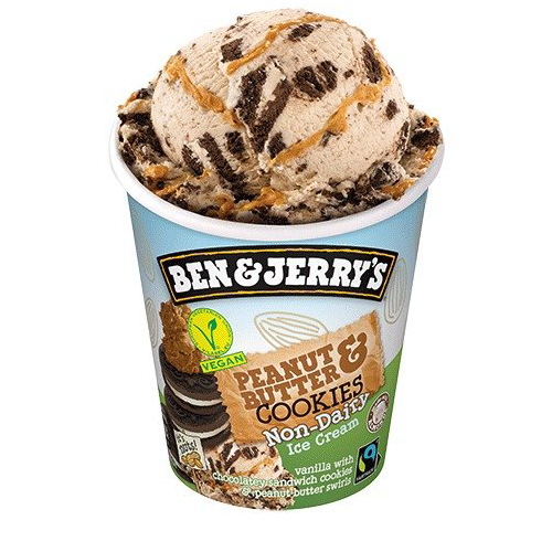 Ben & Jerry's Vegan Peanut Butter & Cookies 465ml