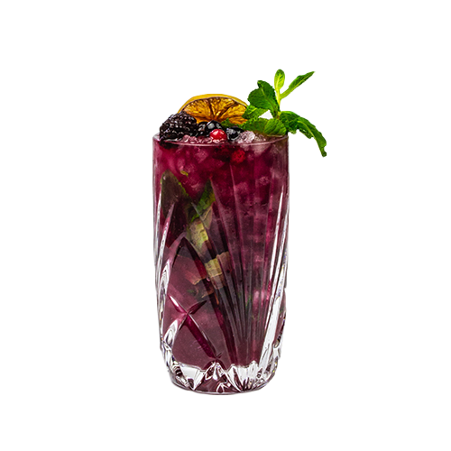 Blueberry Mojito