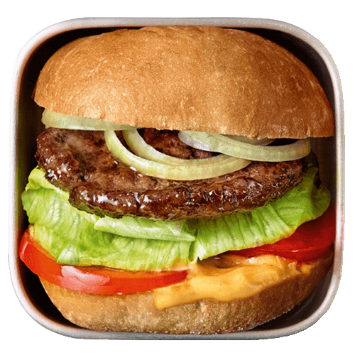 HAMBURGER'ista