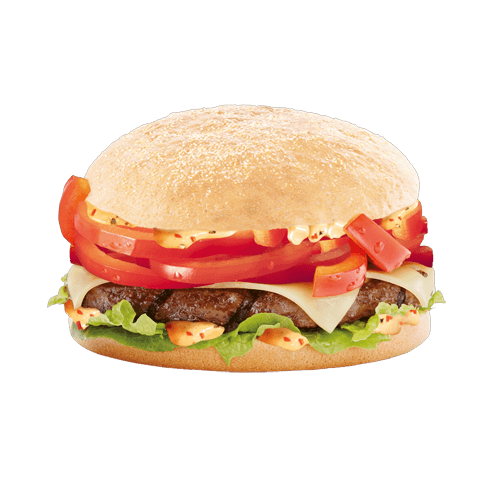 Spicy Spring Burger