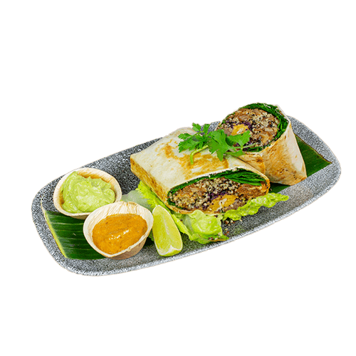 Coyacan Burrito