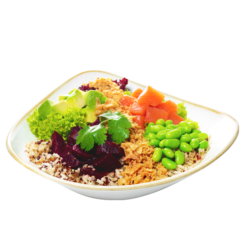 Lachs Avocado Bowl