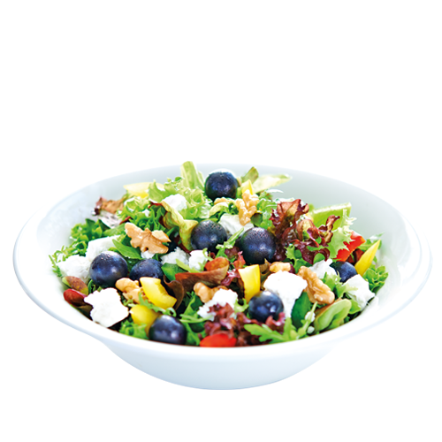Paris (vegetarisch)