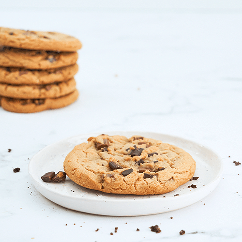 Double Chocolate Chunk Cookie