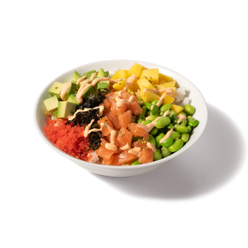 Rainbow Salmon