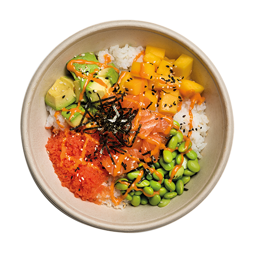 Rainbow Salmon
