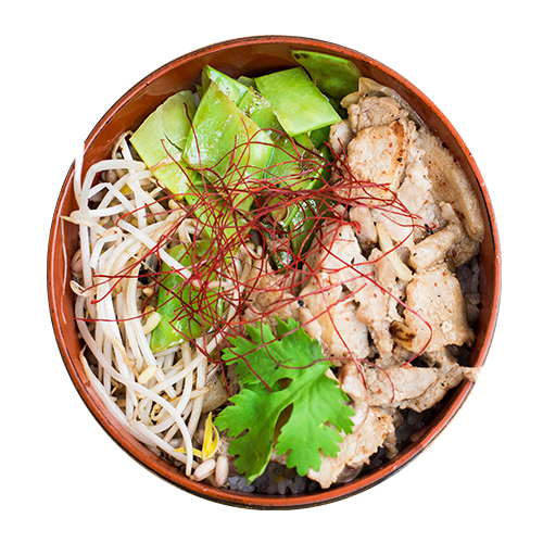 Butadon - Pork Bowl
