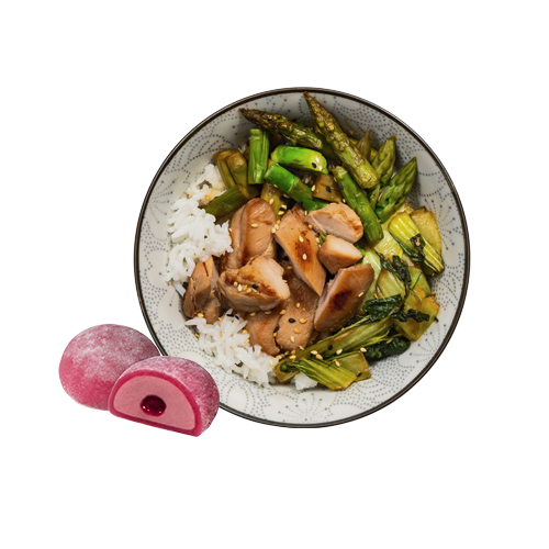 Donburi Menü 2