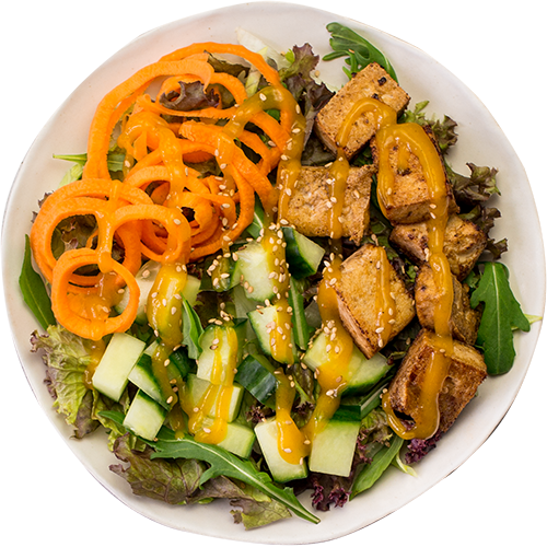 Teriyaki Salat