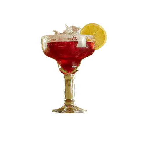 Hibiskus Margarita 0,2l