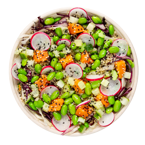 Crunchy Korean Salad (vegan)