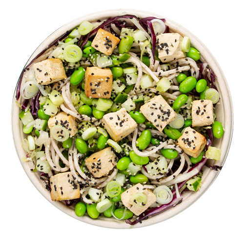 Japanese Noodle Salad (vegetarisch)