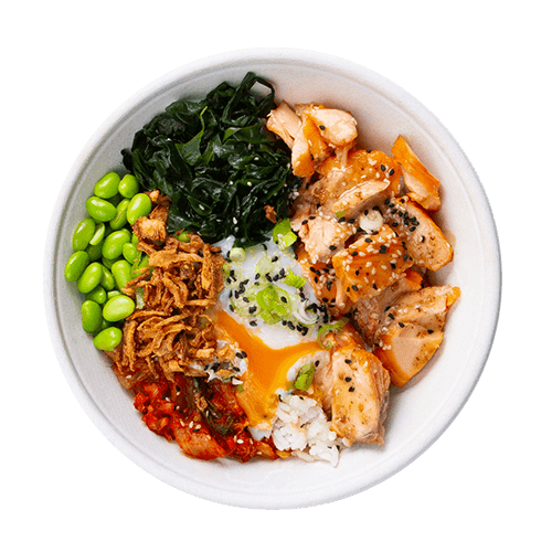 Salmon Bowl