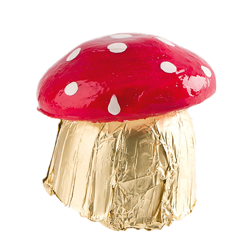 Nougat-Pilz 13g