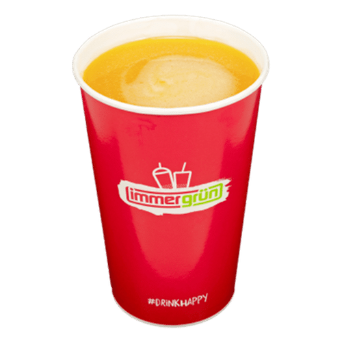Ingwer-Orange 0,3l