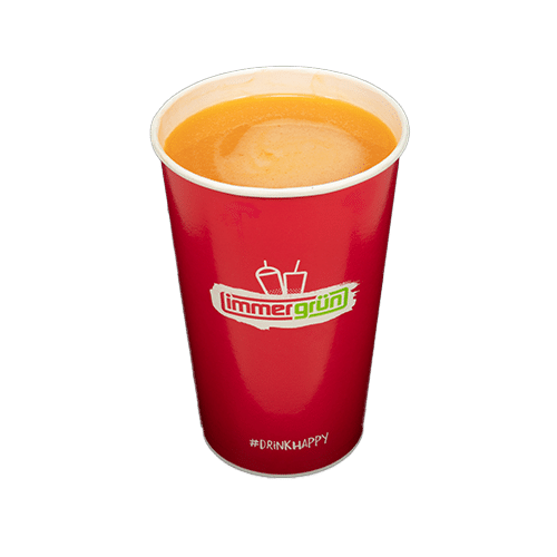 Ingwer-Orange 0,5l