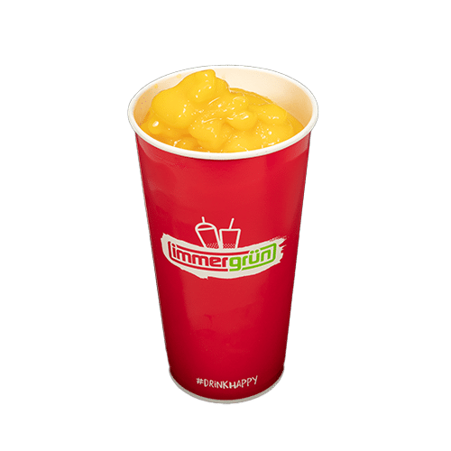Mangorausch 0,4l