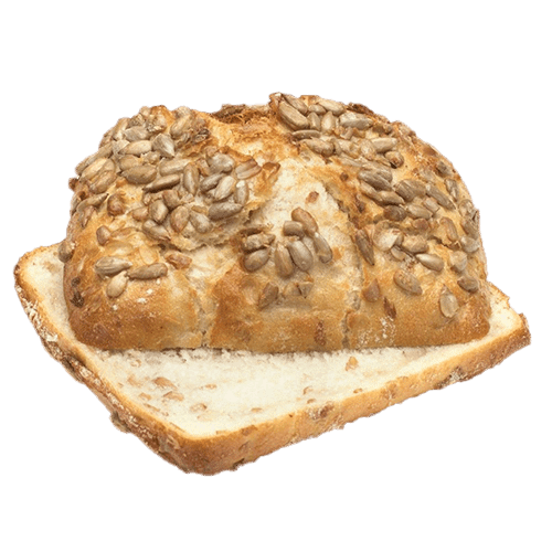 Dinkel Plus Brötchen