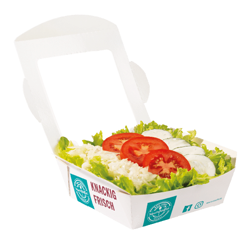 Frisch gemischter Salat (vegetarisch)