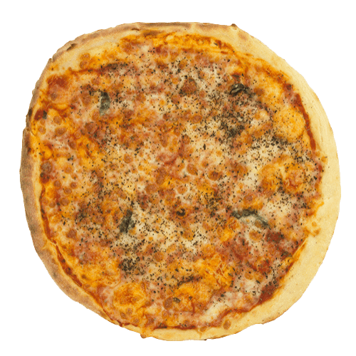 Pizza Margherita