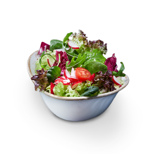 Kleiner Gartensalat