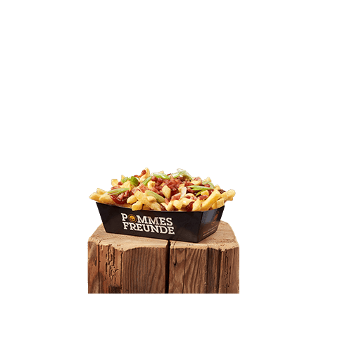 Loaded Fries - BBQ Bacon Cheese