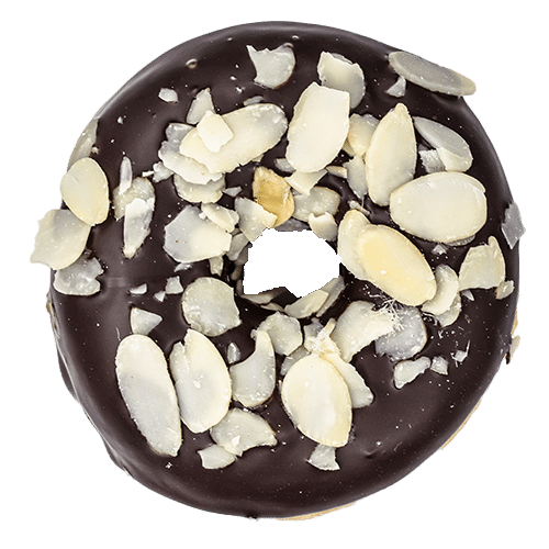 Almond Choc Donut