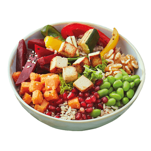 Tokio Bowl