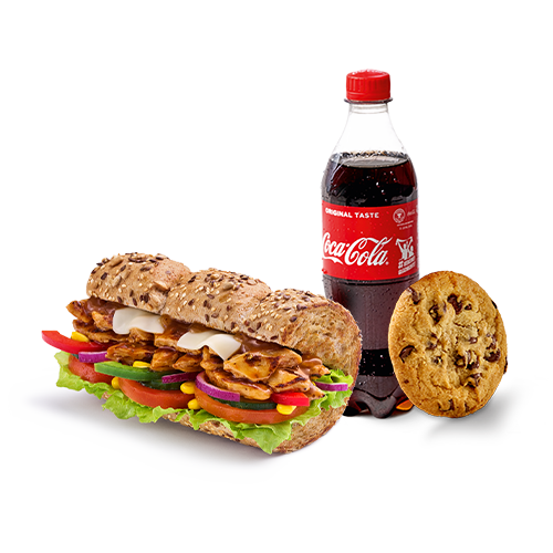 NEU - Meatless Chicken Teriyaki Sub