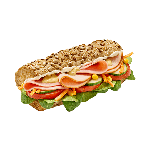 Turkey and Ham Sub