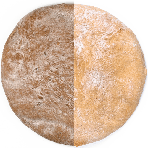 Wunsch-Panini
