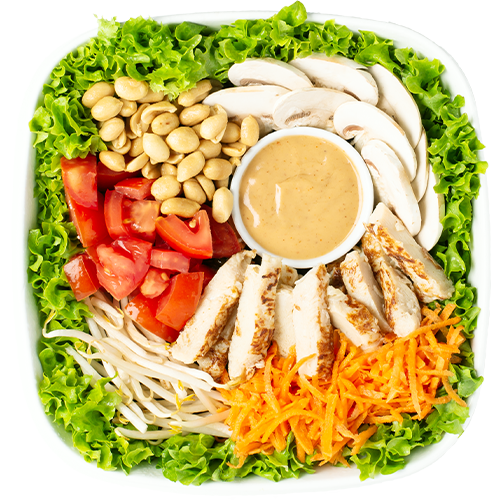 Salat Thai Chicken