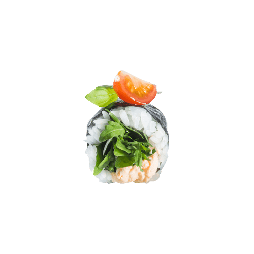 Maki Experience (vegetarisch)