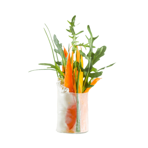 Rocket Spring Sensation (vegetarisch)
