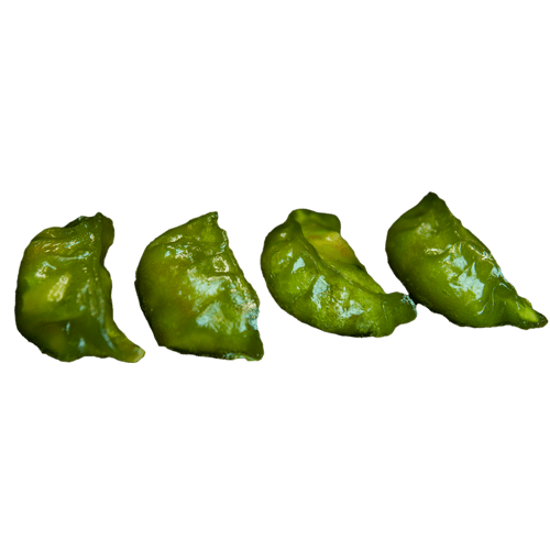 Gyoza vegan (4 Stück)