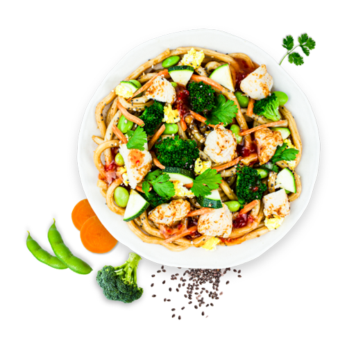 Japanese Udon Noodles