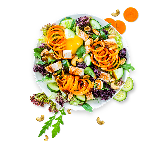 Teriyaki Salad