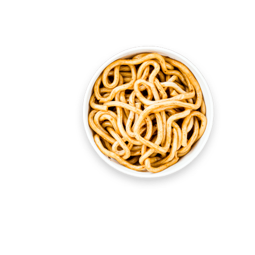 Udon Noodles