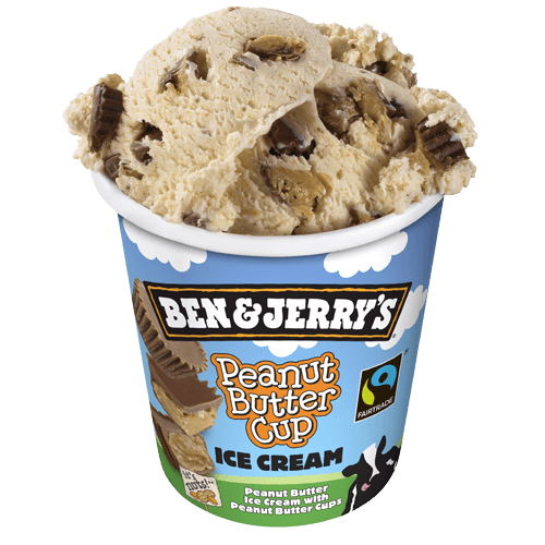 Ben & Jerry's Peanut Butter Cup 500ml