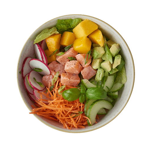 Bowl Salmon
