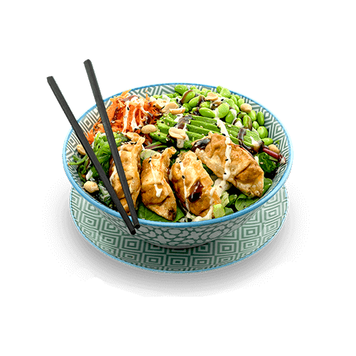 Gyoza Poke Bowl