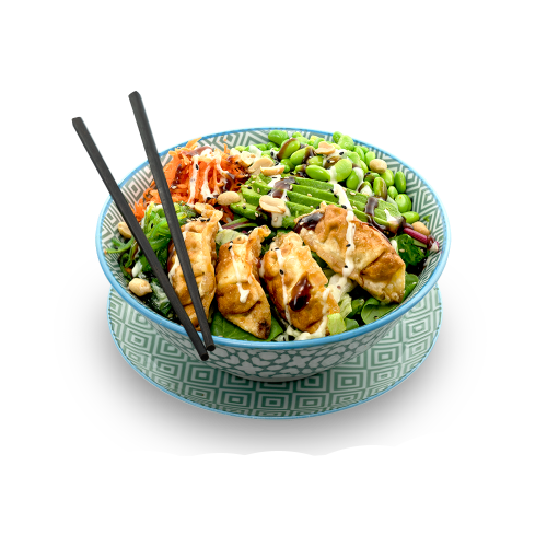 Gyoza Poke Bowl