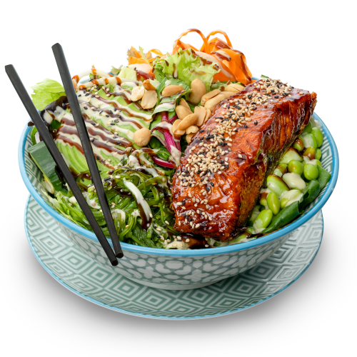 Yoko Poke Bowl Sake Teriyaki