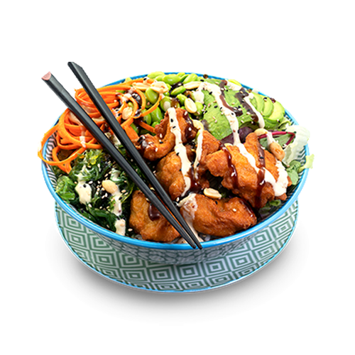 Japanese fried Chicken Bowl