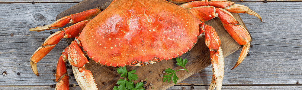 Fischgerichte