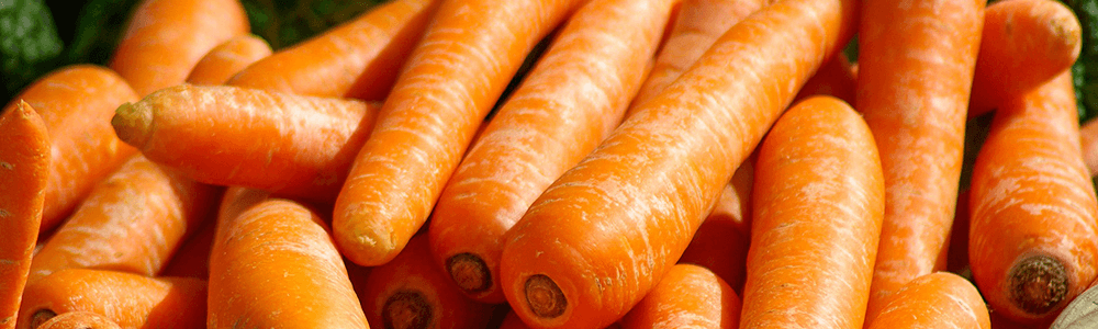 Vegetarische Gerichte