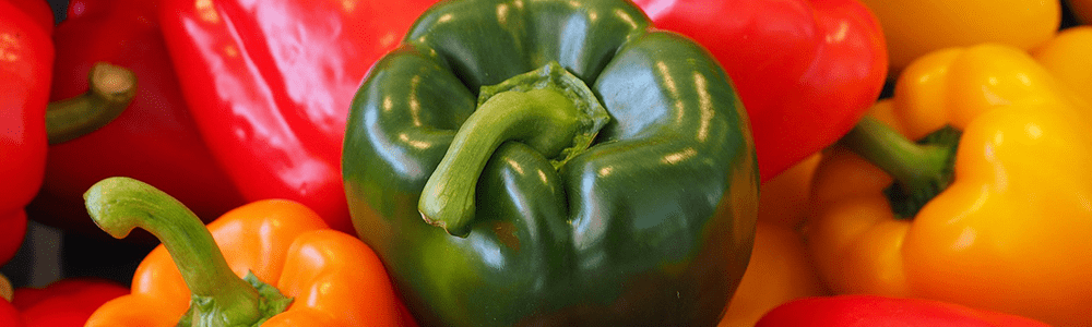 Vegetarisch