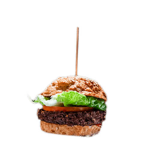 Vegan Burger