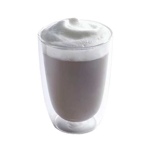 Bio Cappuccino 0,3l