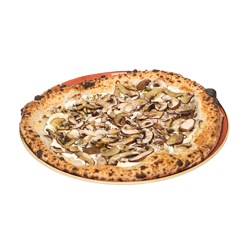 Pizza Magic Mushrooms